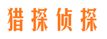 武强市侦探公司